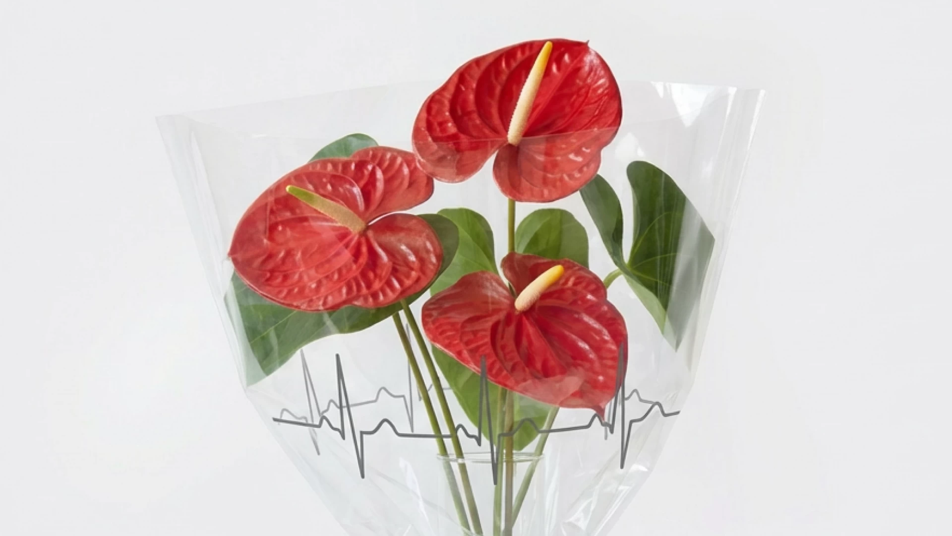 Тройная антитромботическая терапия