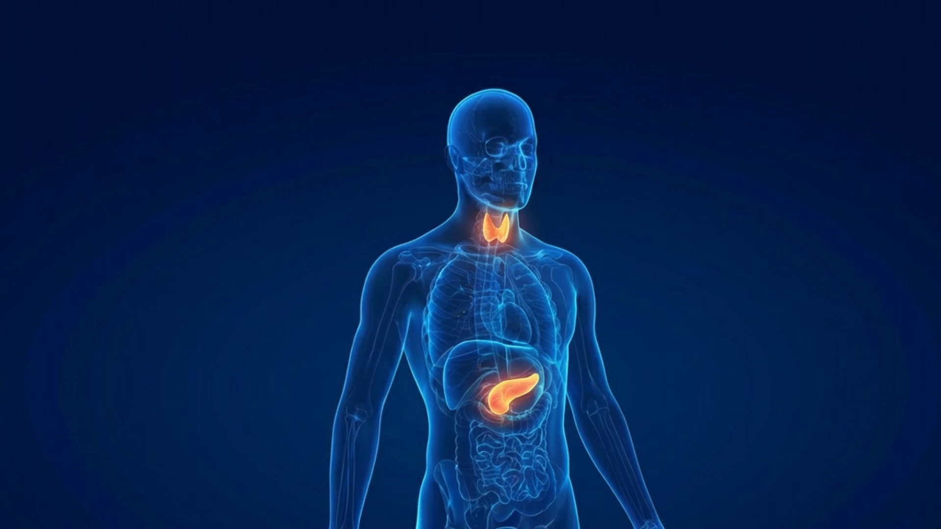 Medica mente. Вопросы из клинической практики. Эндокринология. Выпуск 2
